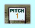 Pitch For Sale